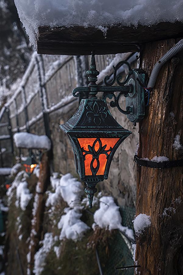 Meena Bagh Shimla Buitenkant foto